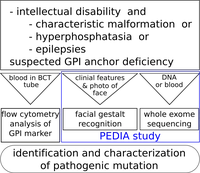 fig2_engl.png