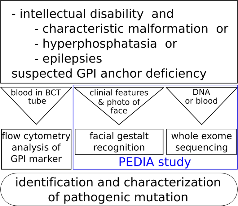 fig2_engl.png