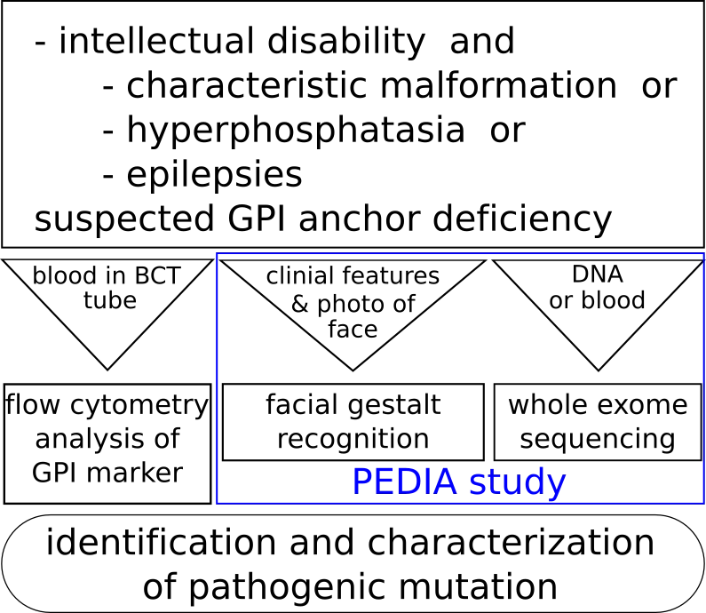 fig2_engl.png